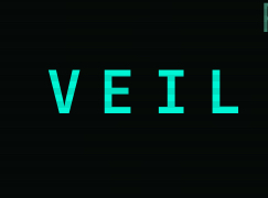 Veil