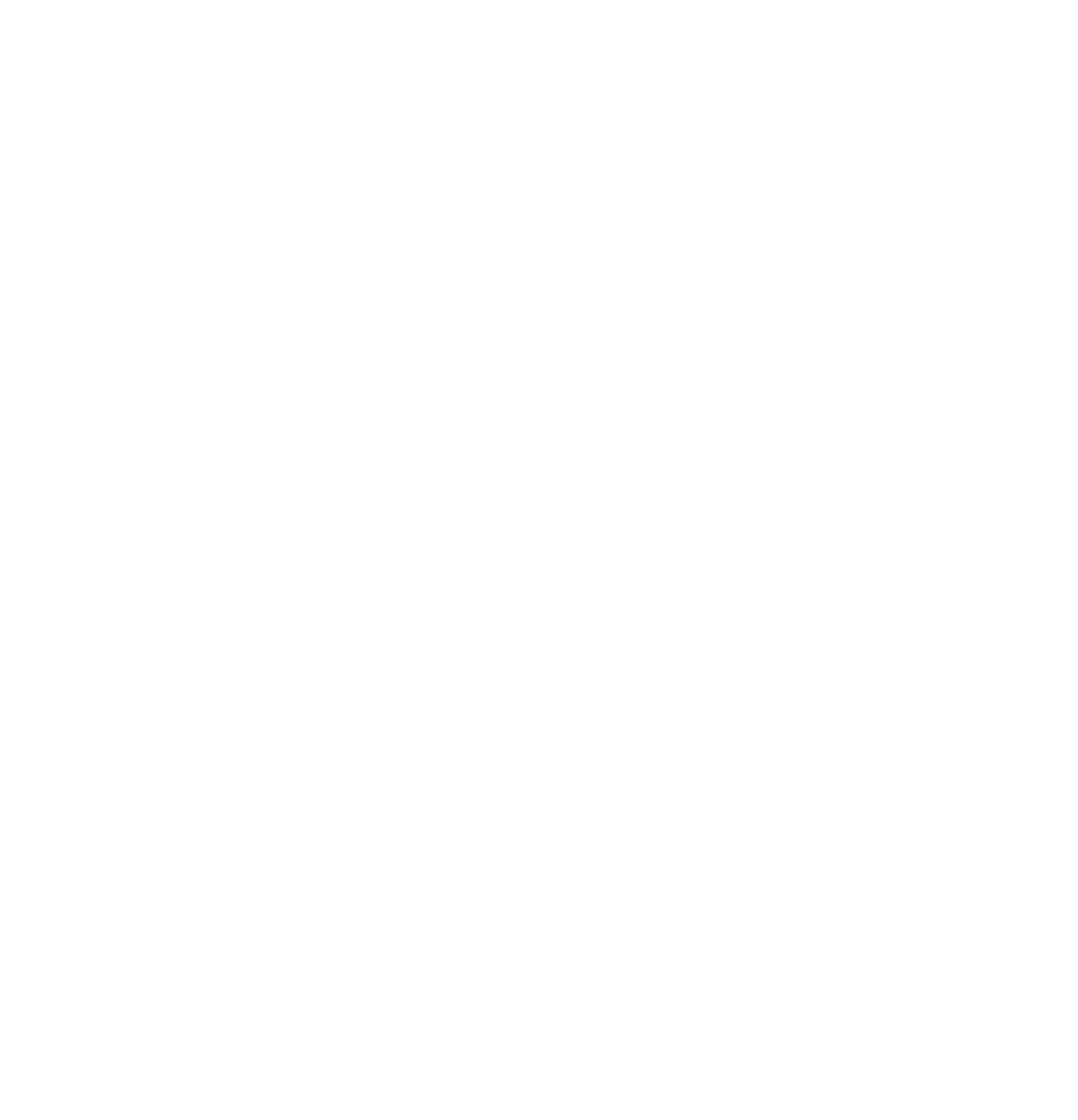 CARECHAIN