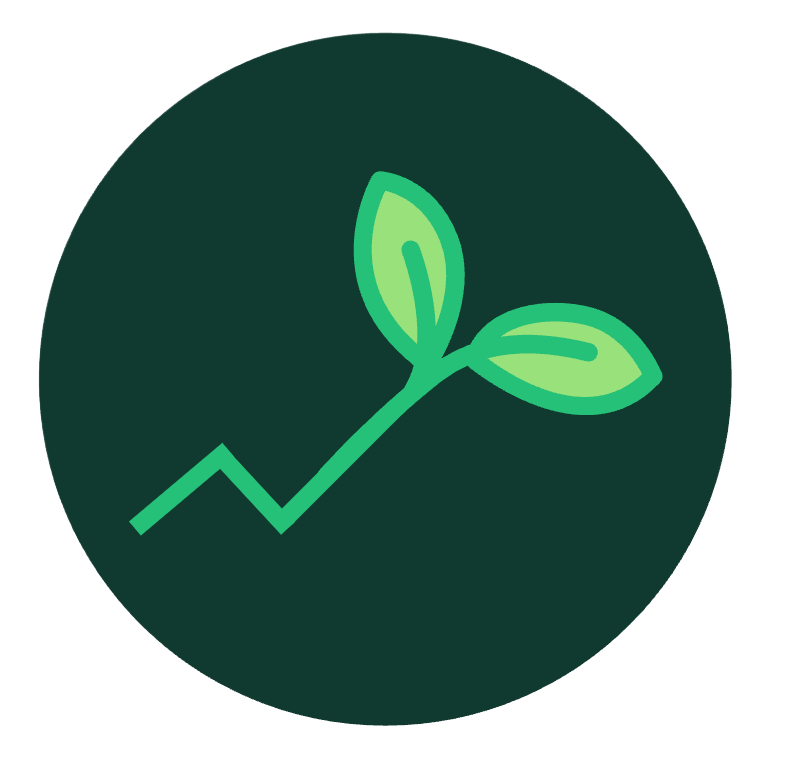 Seedling