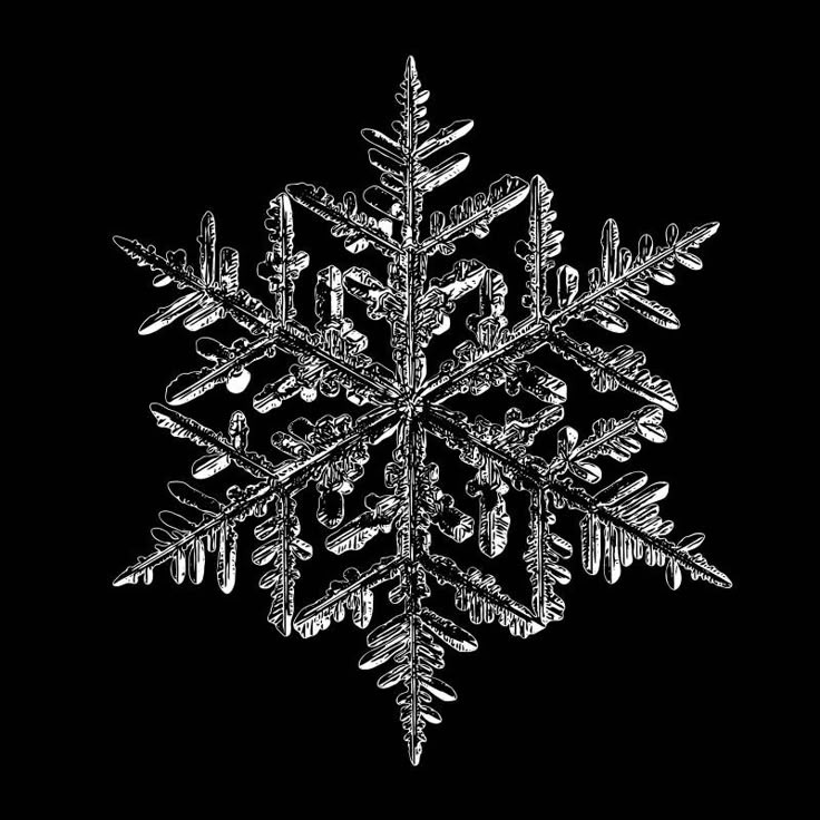 SnowPay