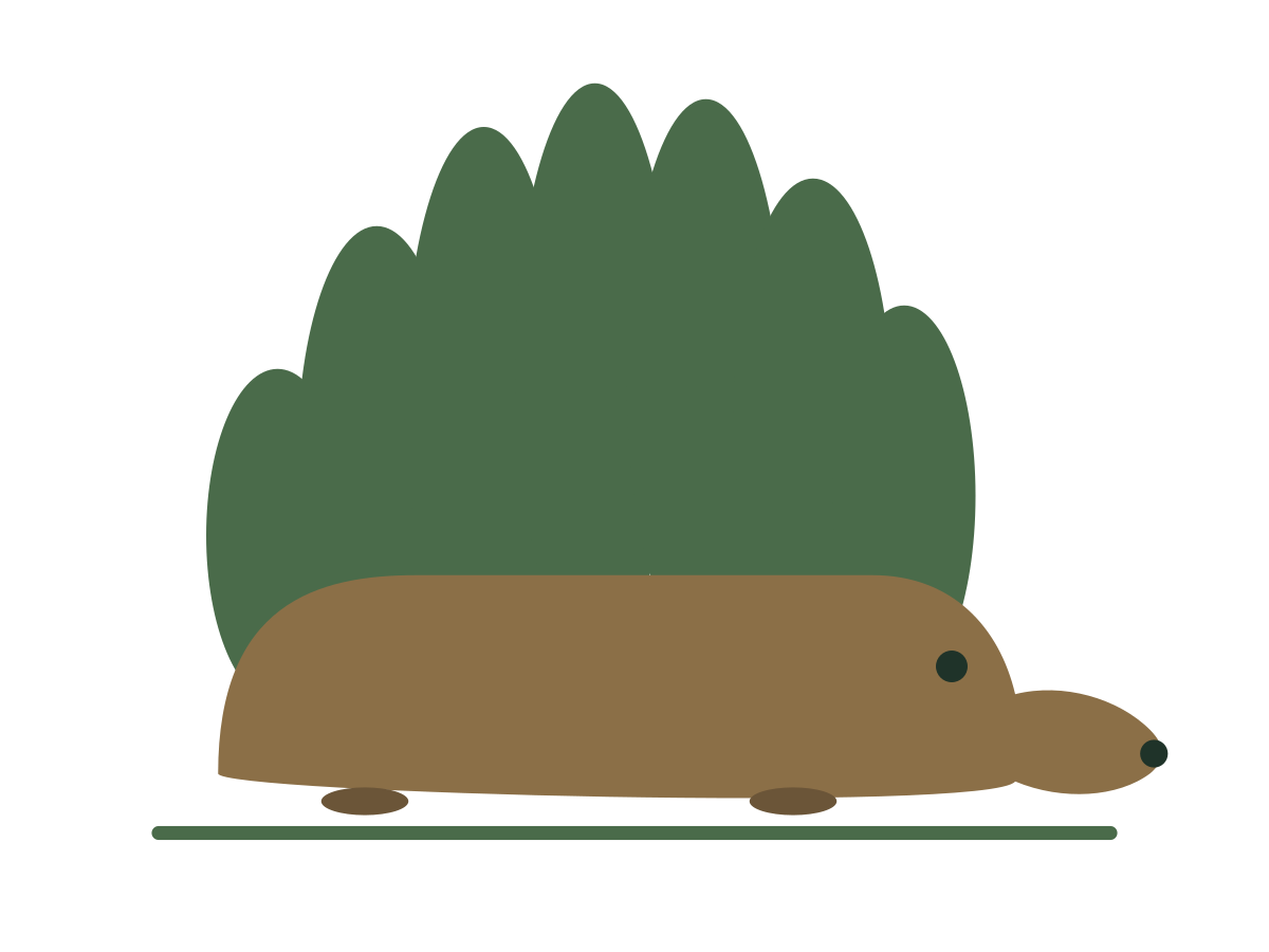 LifeHedge
