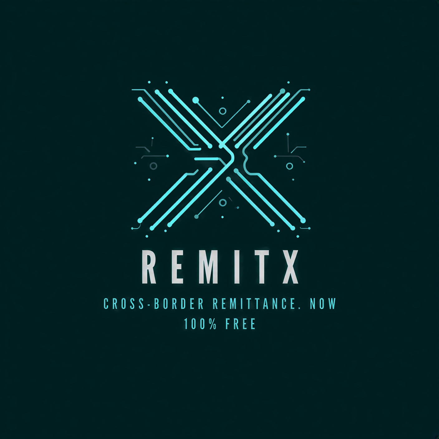 RemitX