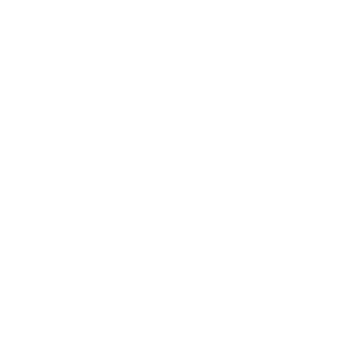 Boltick