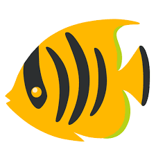 Butterfish Shell